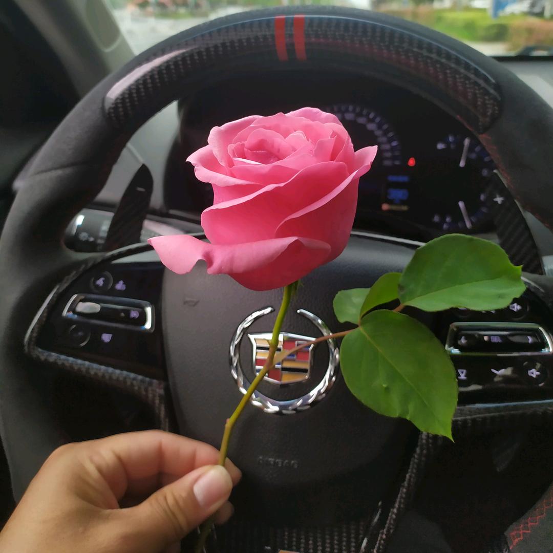 你为何不报官呢