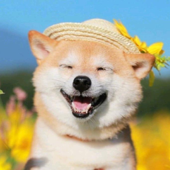 张老师的小日常