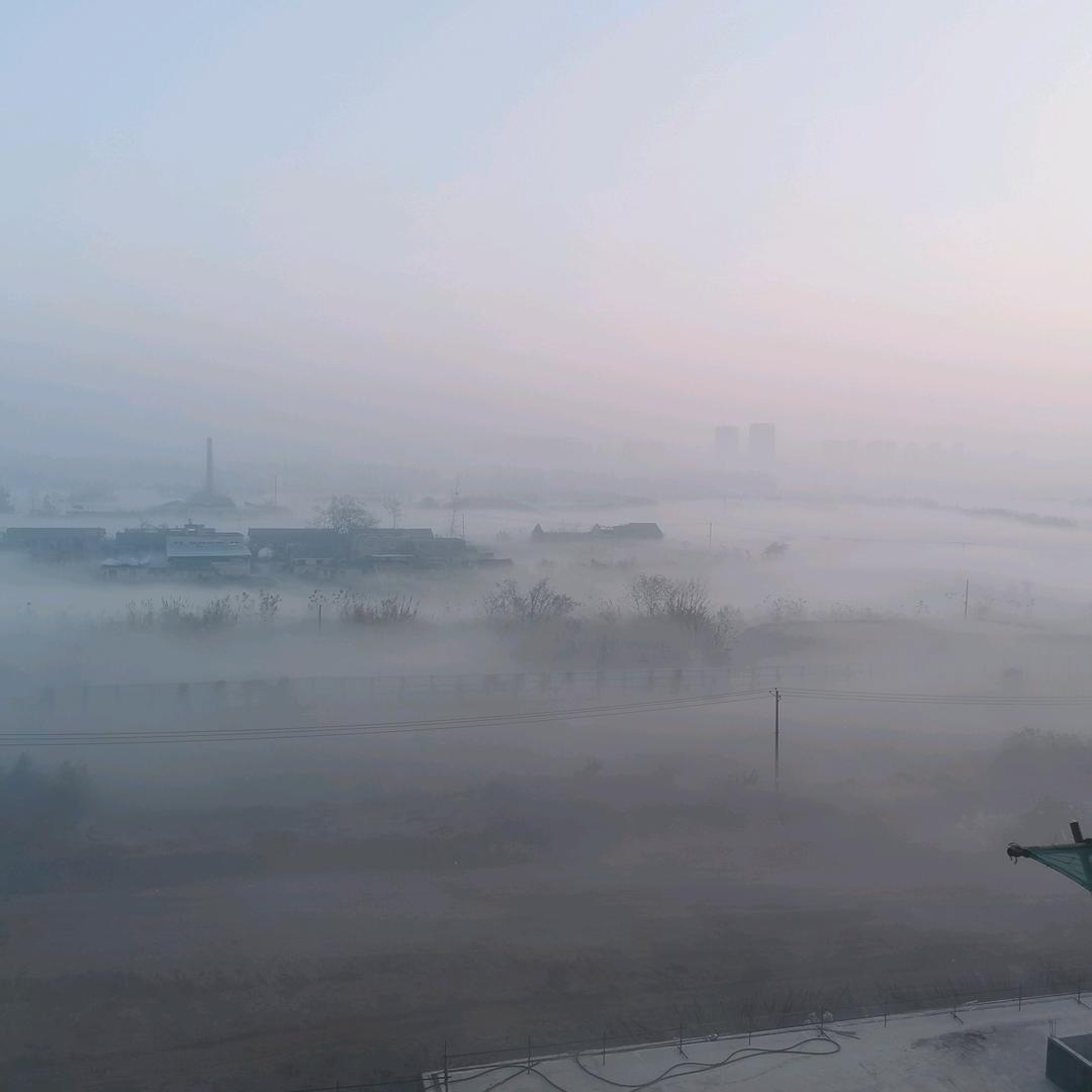 阜阳专业打胶-张