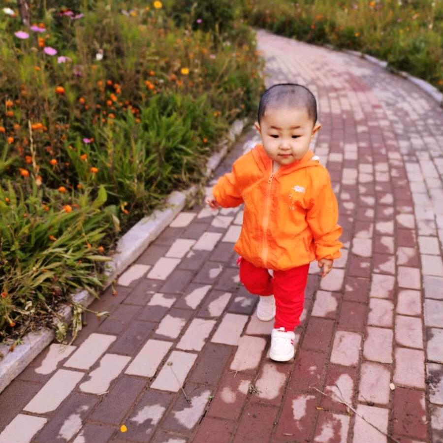 蒲公英de约定