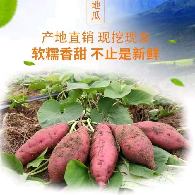 鑫农垦商行