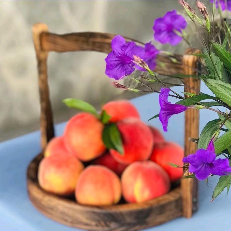 梦里桃乡合作社龙泉山水蜜桃