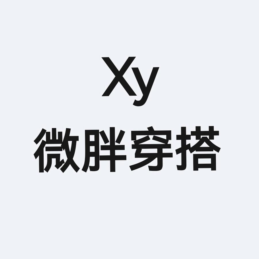 xy微胖穿搭