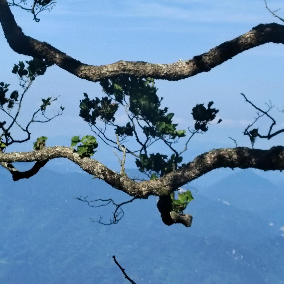 ☀️往事清零💤💤🌻