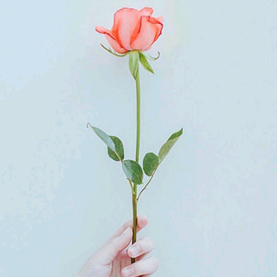 小仙女🌹