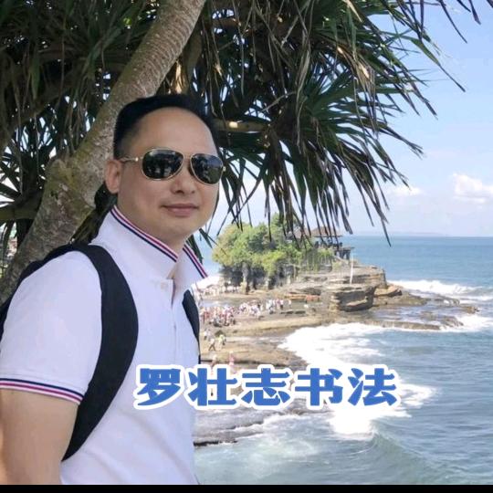 罗壮志书法