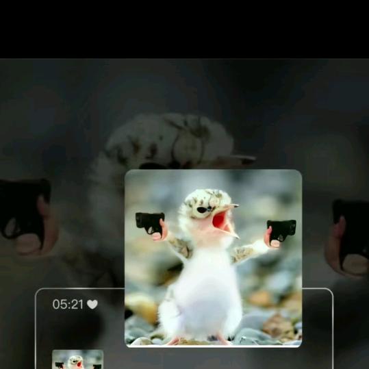 °愿晚风将我吹...