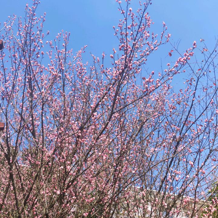 悠悠然然