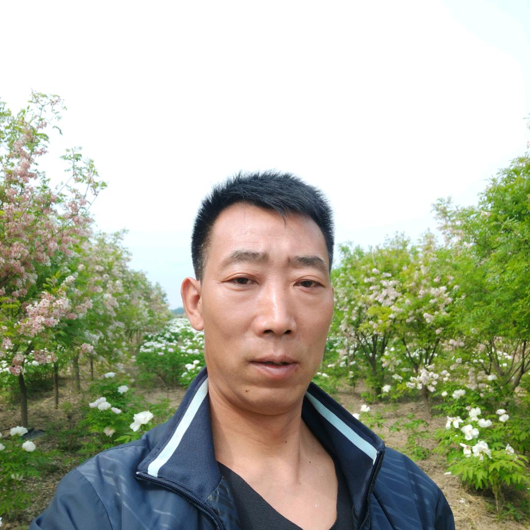 伸张正义(丁广生)