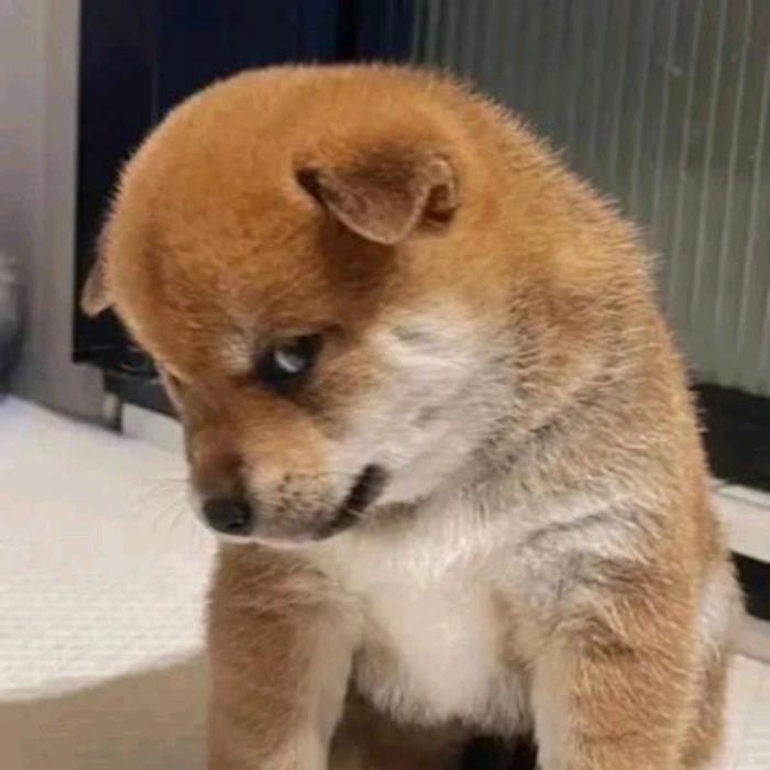 救赎