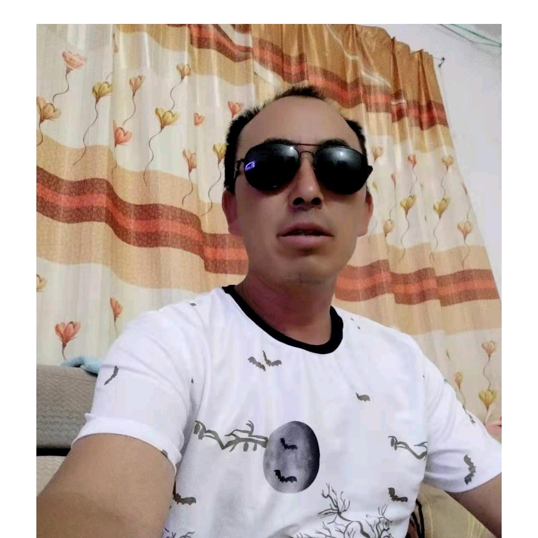 孤单的我谁来陪