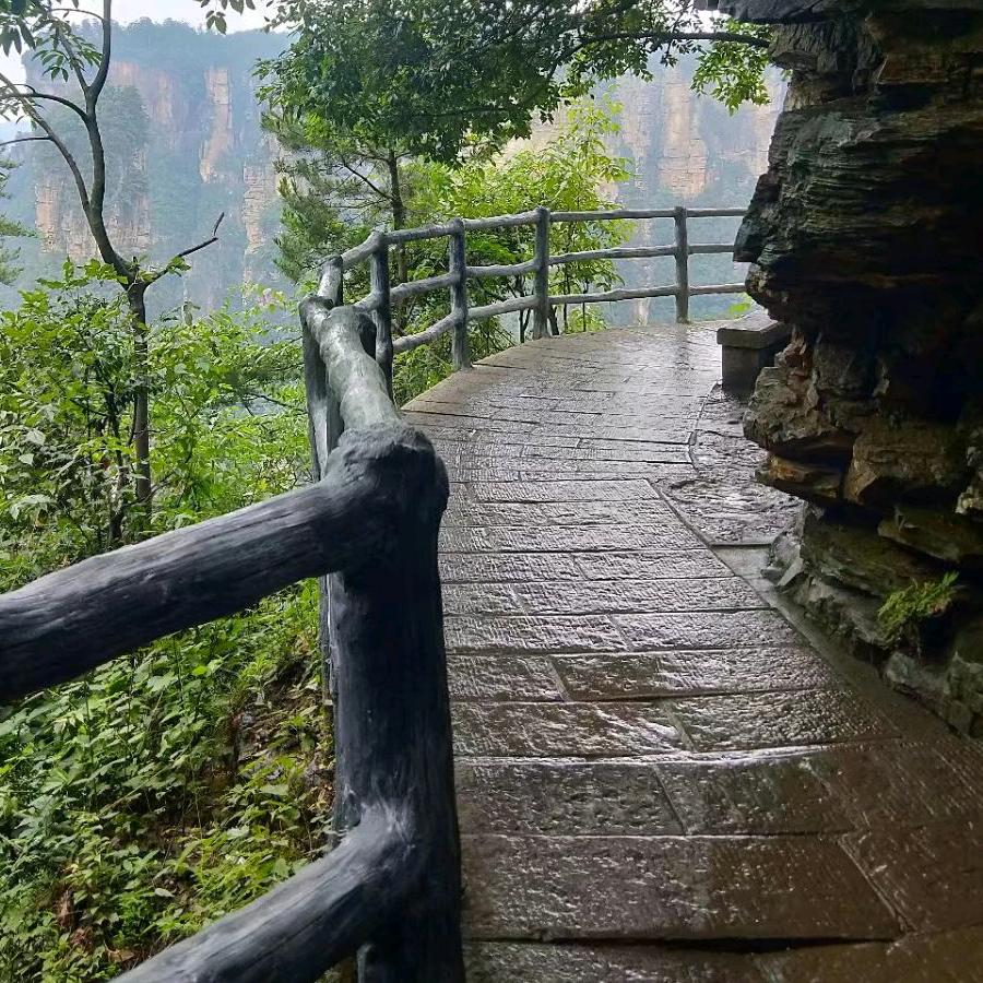 木丰