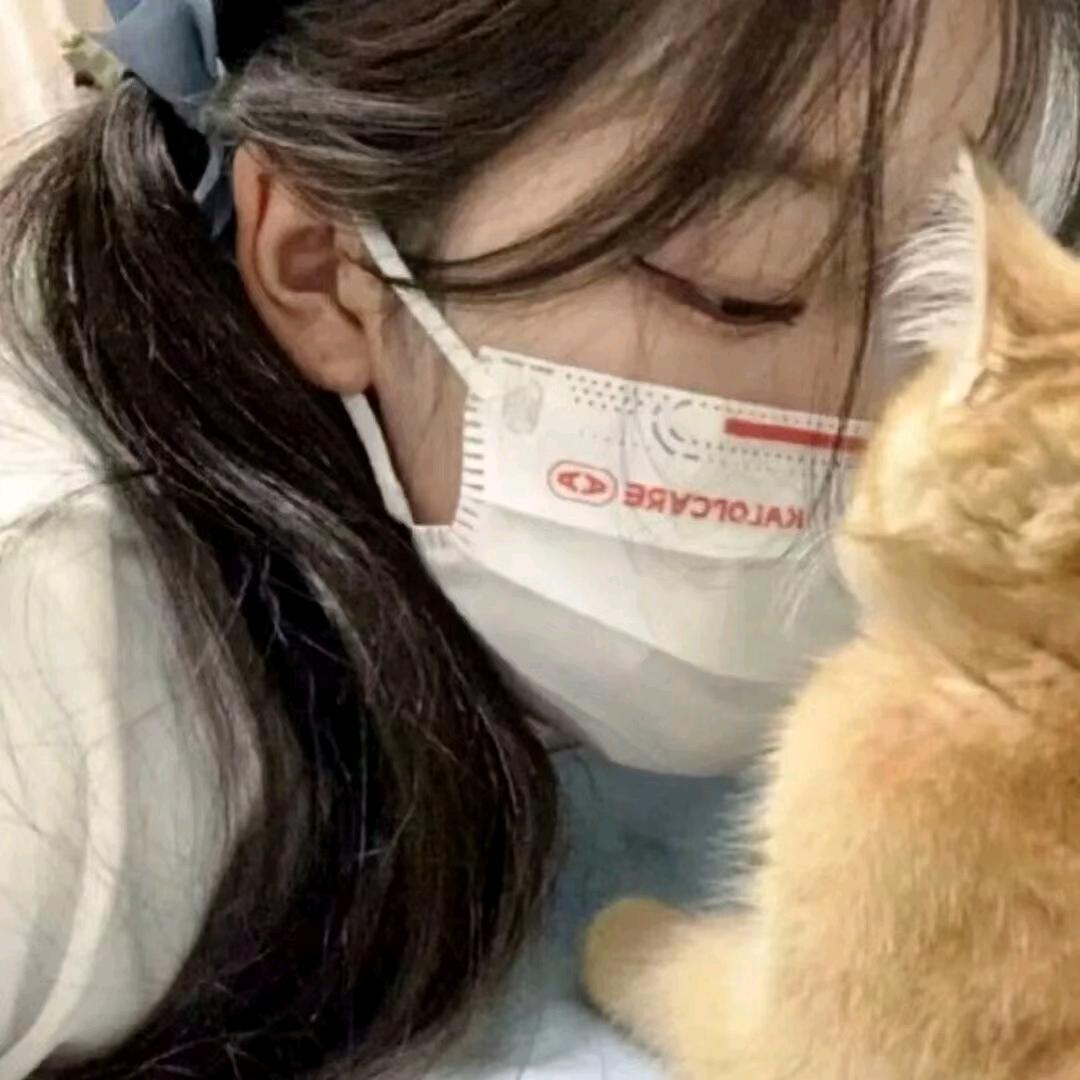 晚安吟.