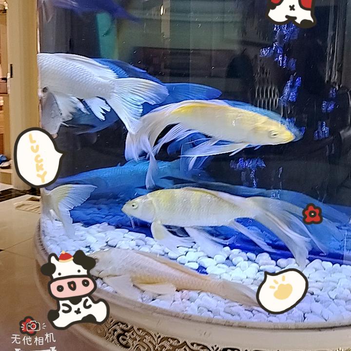 日出日落见温馨