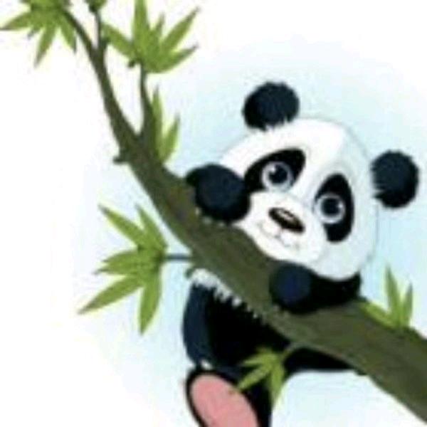少年的回忆