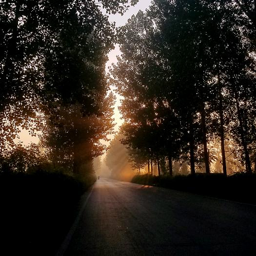 良人未归ྃ࿐ૢ