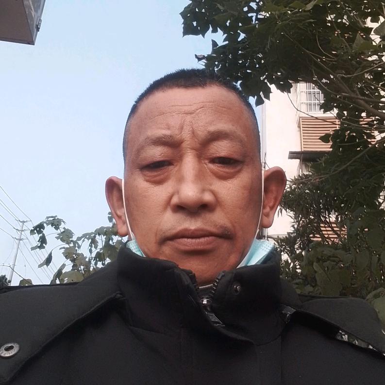 我是芦苇兼爱丽丝。