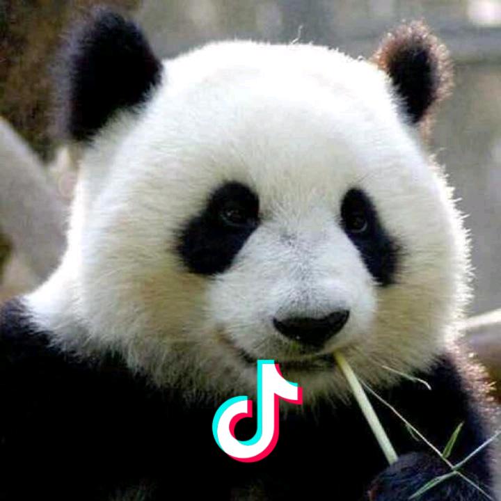 超爱喝啤酒的勇者