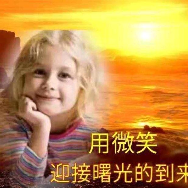 鸽子