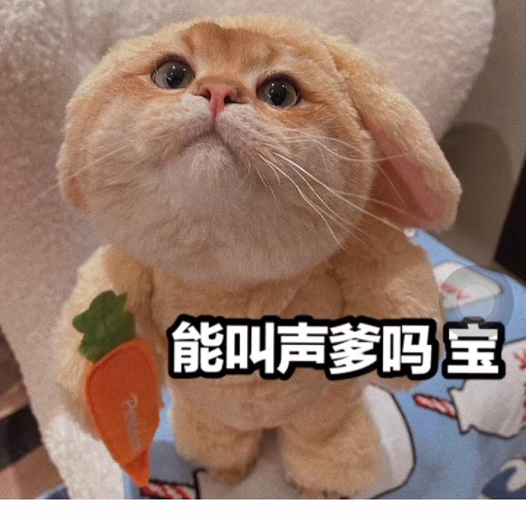 dear
