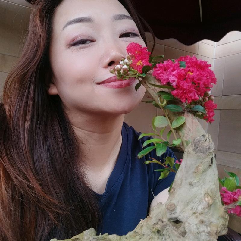 草木·茜子