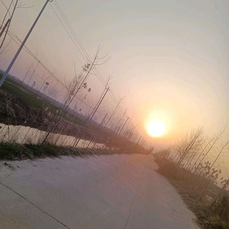 荷塘月色🌺🌺🌸