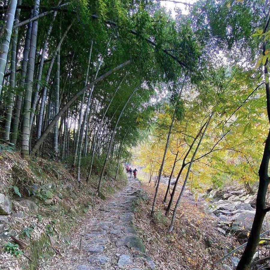 邢华汉