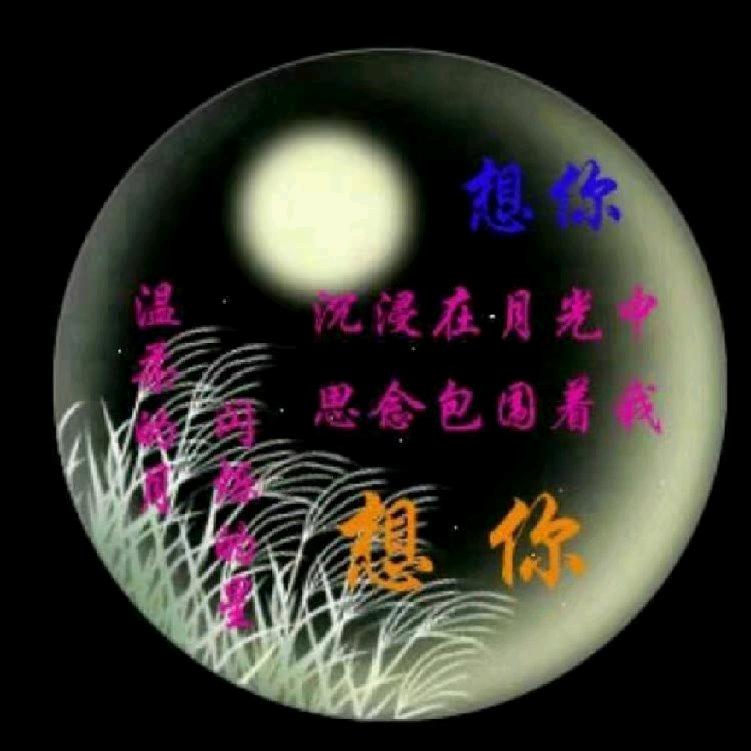 ❤️似董非懂❤️