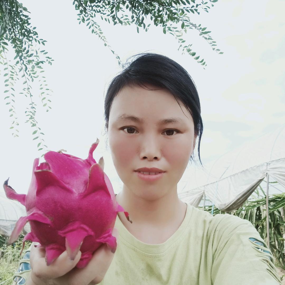 风中的摇玲
