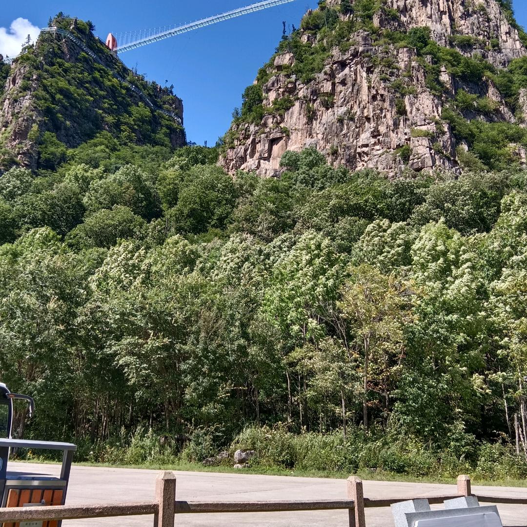 东北是个好地方