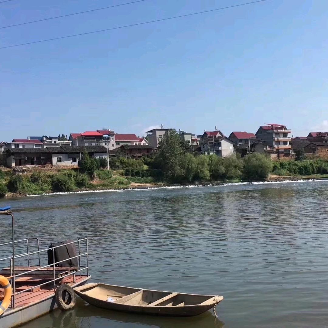 詹͜❀҉翅高飞࿐