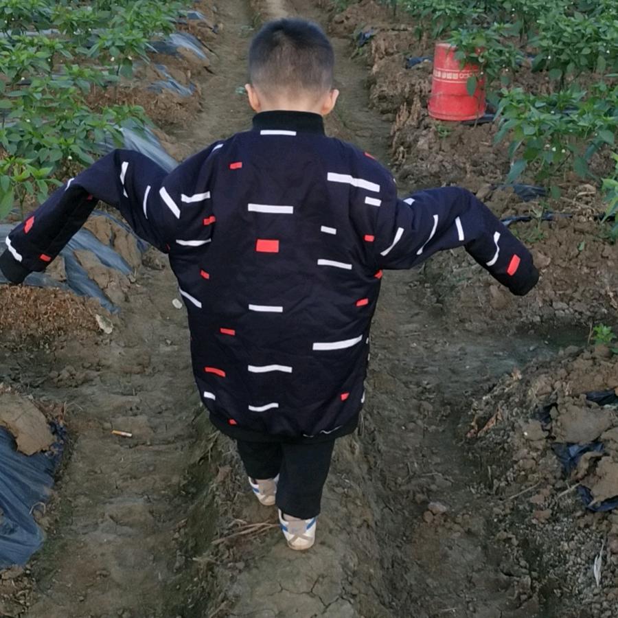 蛋宝