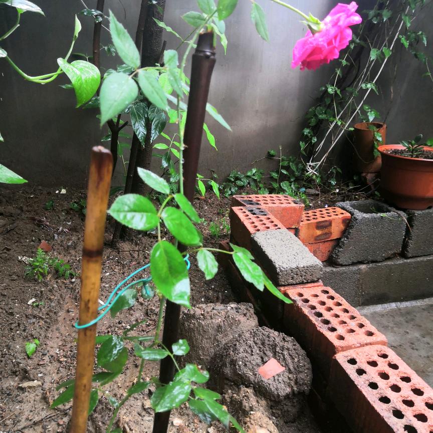 风雨无阻