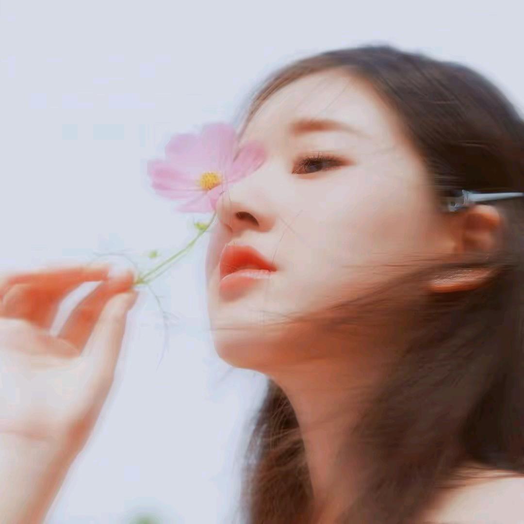 小白好物1413
