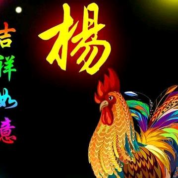 用户杨