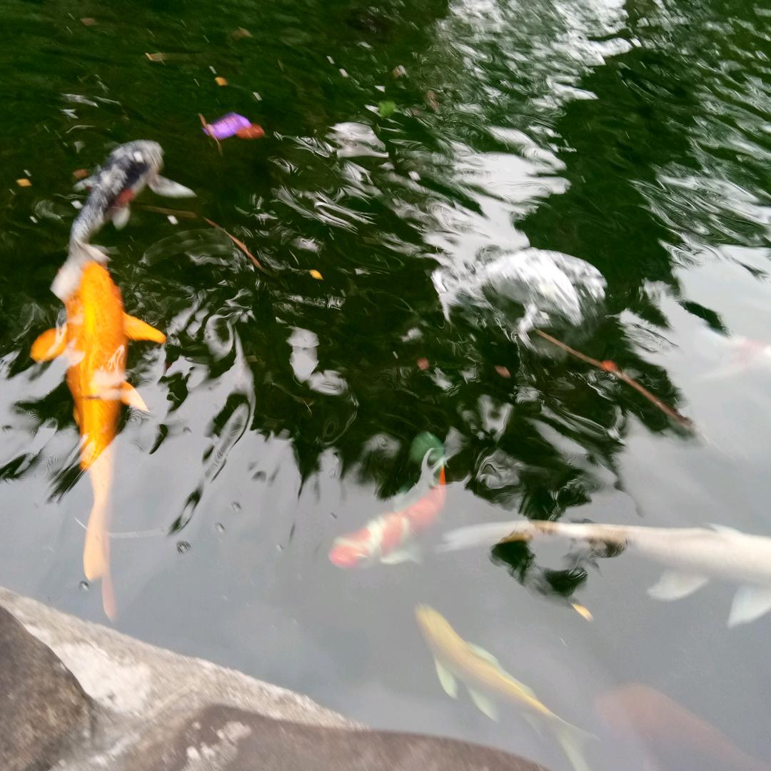 平安幸福