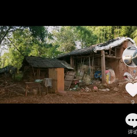 我的农村梦，岗岗生活访