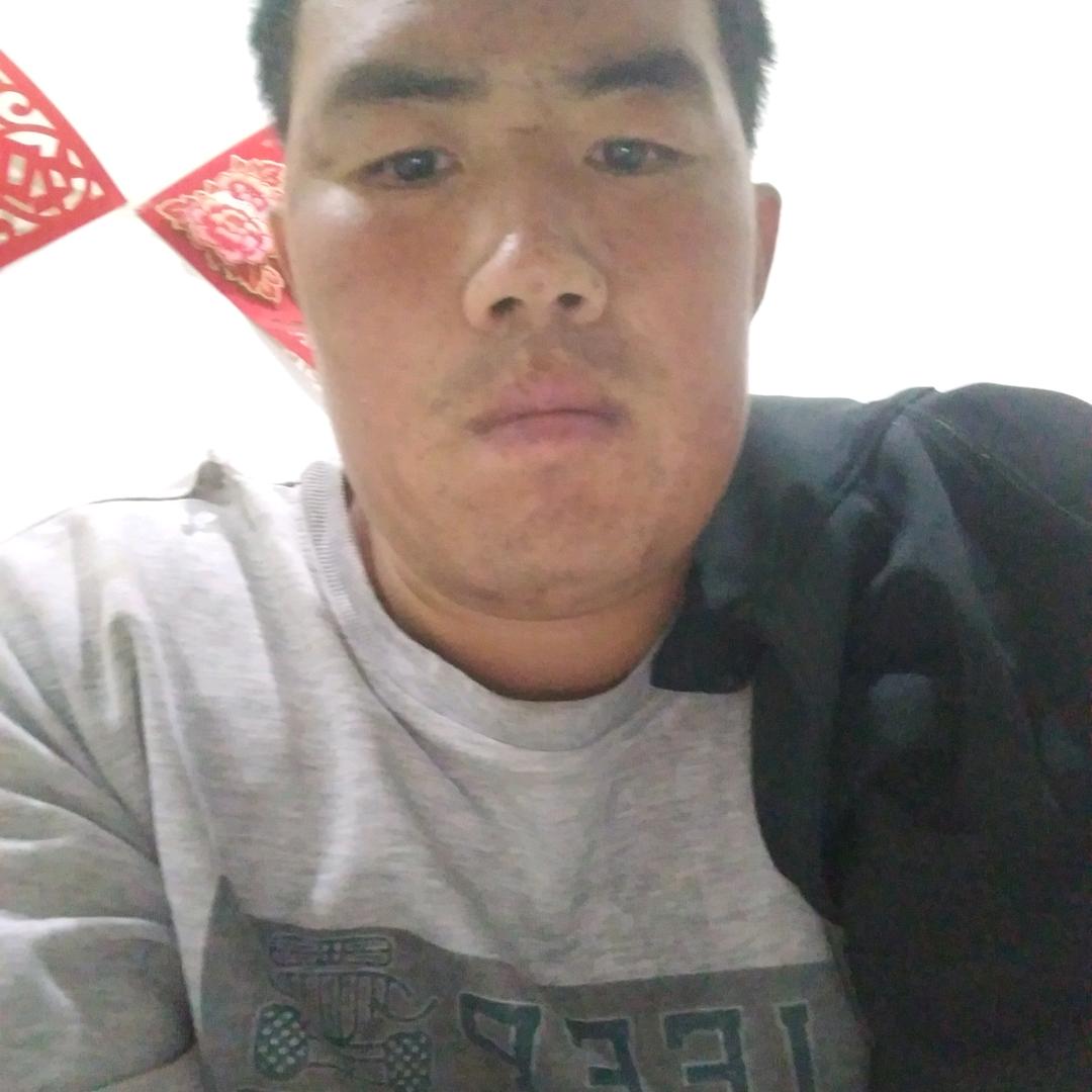 飞飞