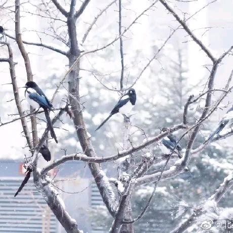 *♡往事๓´๓♡清零*♡