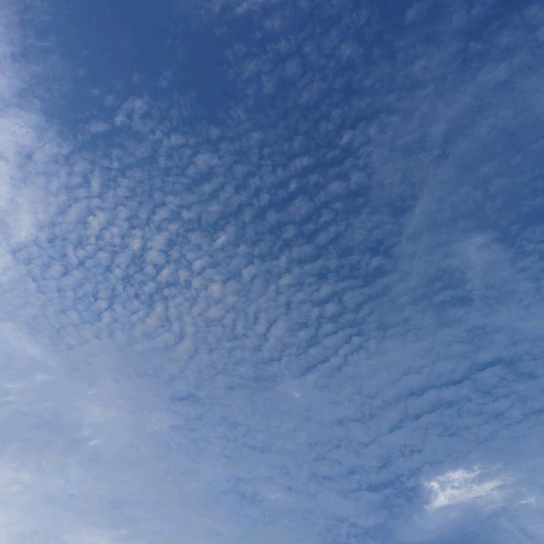 收藏