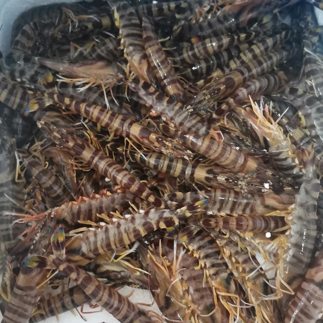 山东威海 海鲜超市