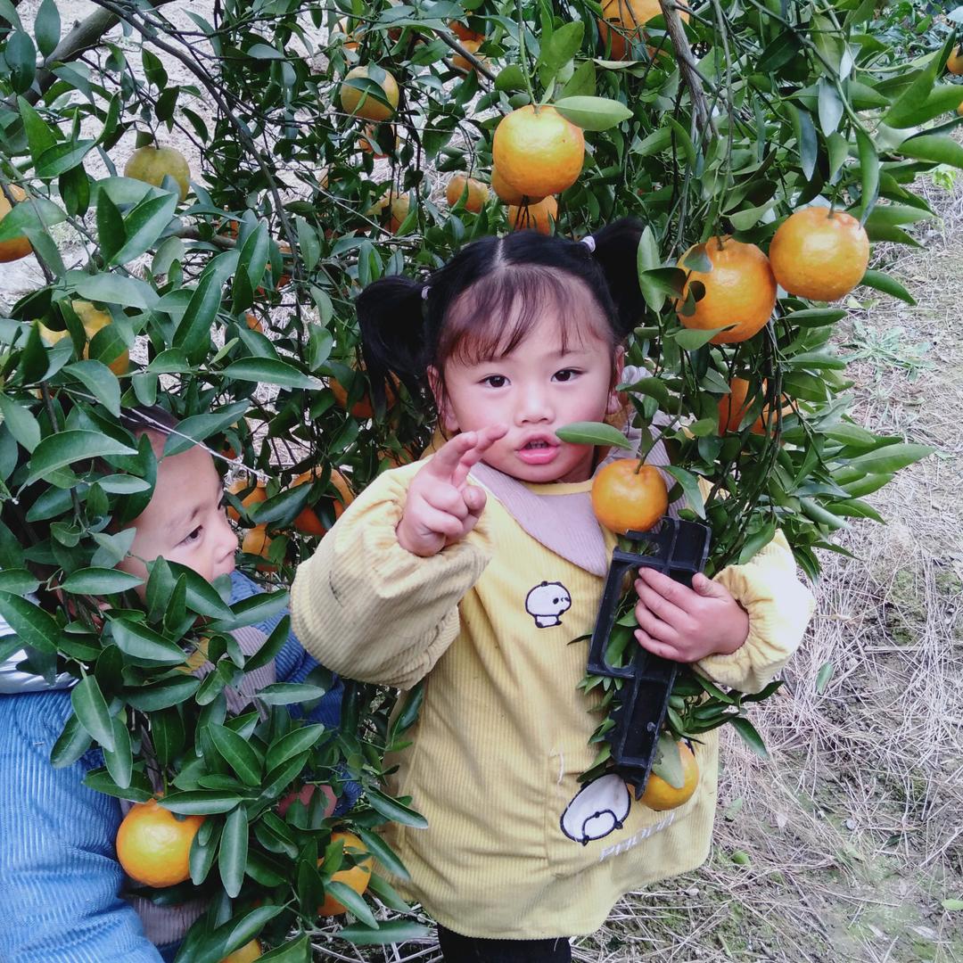 幸福人生