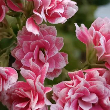 ❣️㊗️造⭐️辉煌💫