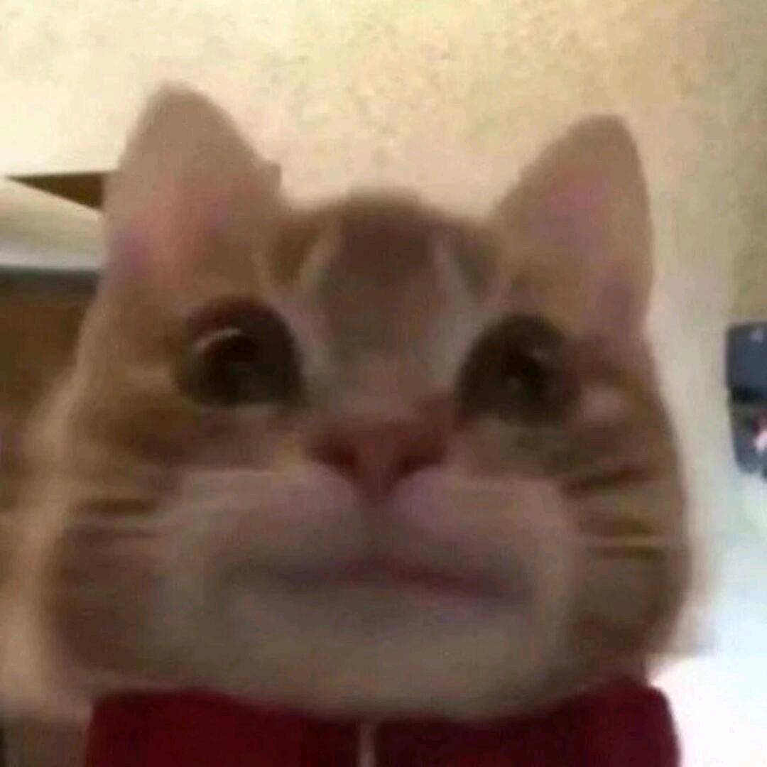 宋雅松