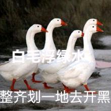丁贰哥