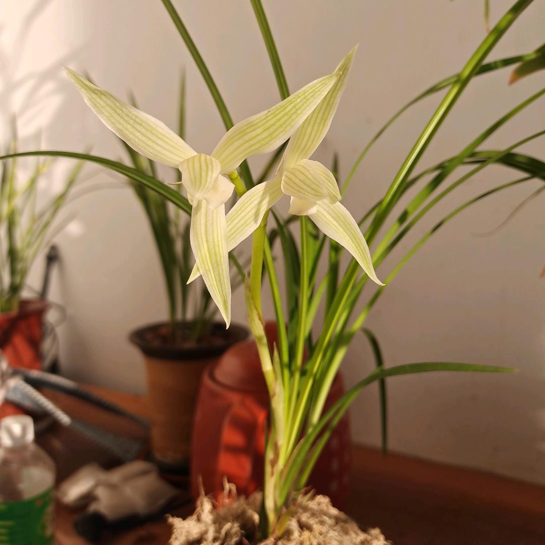 总有那么一瞬间