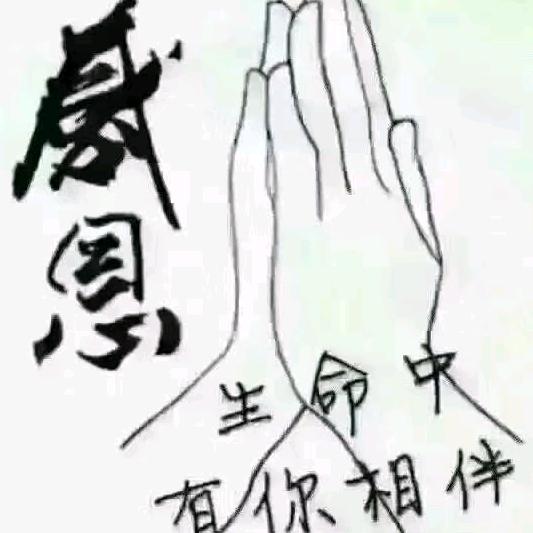 蔷薇