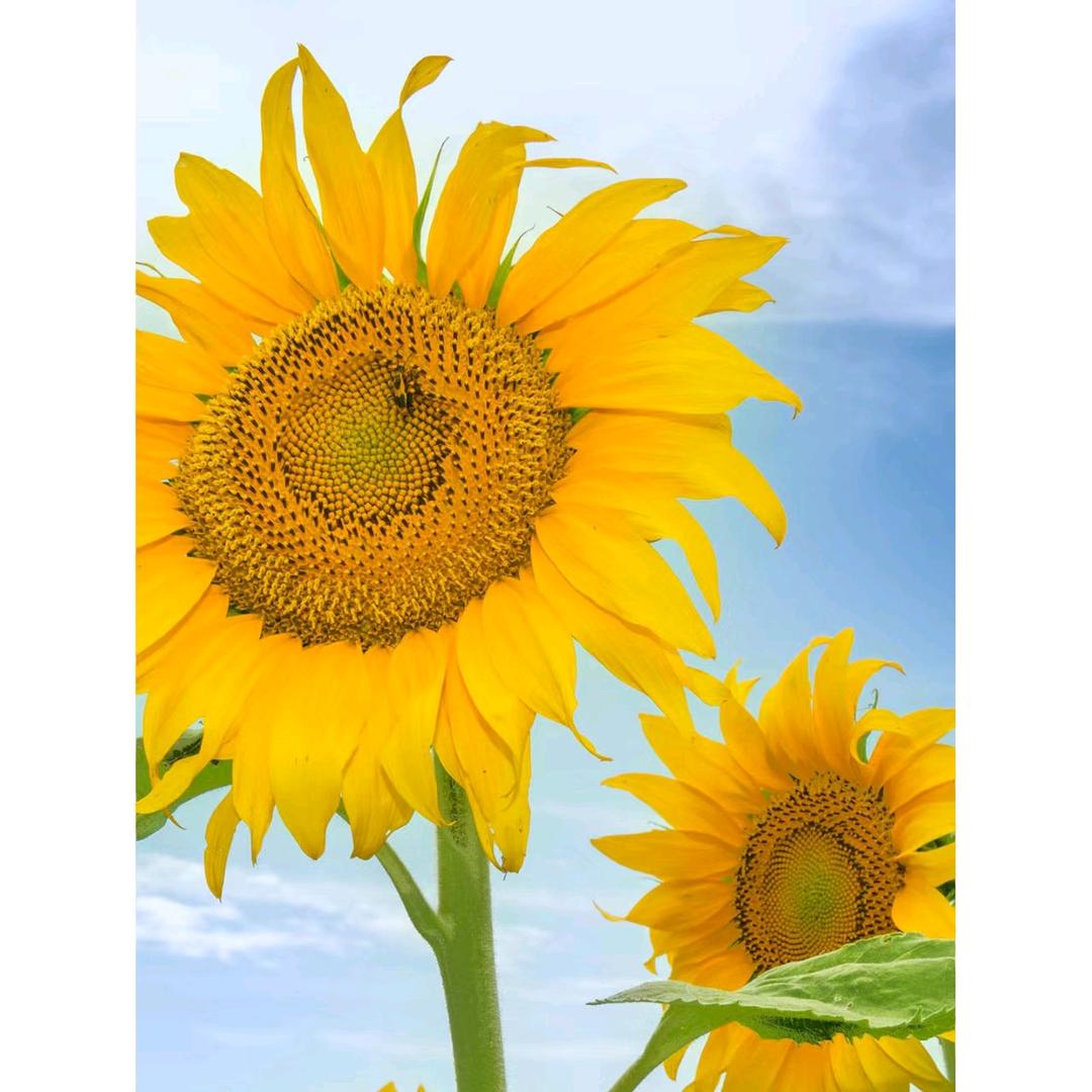 枣庄市市中区国艺手工馆