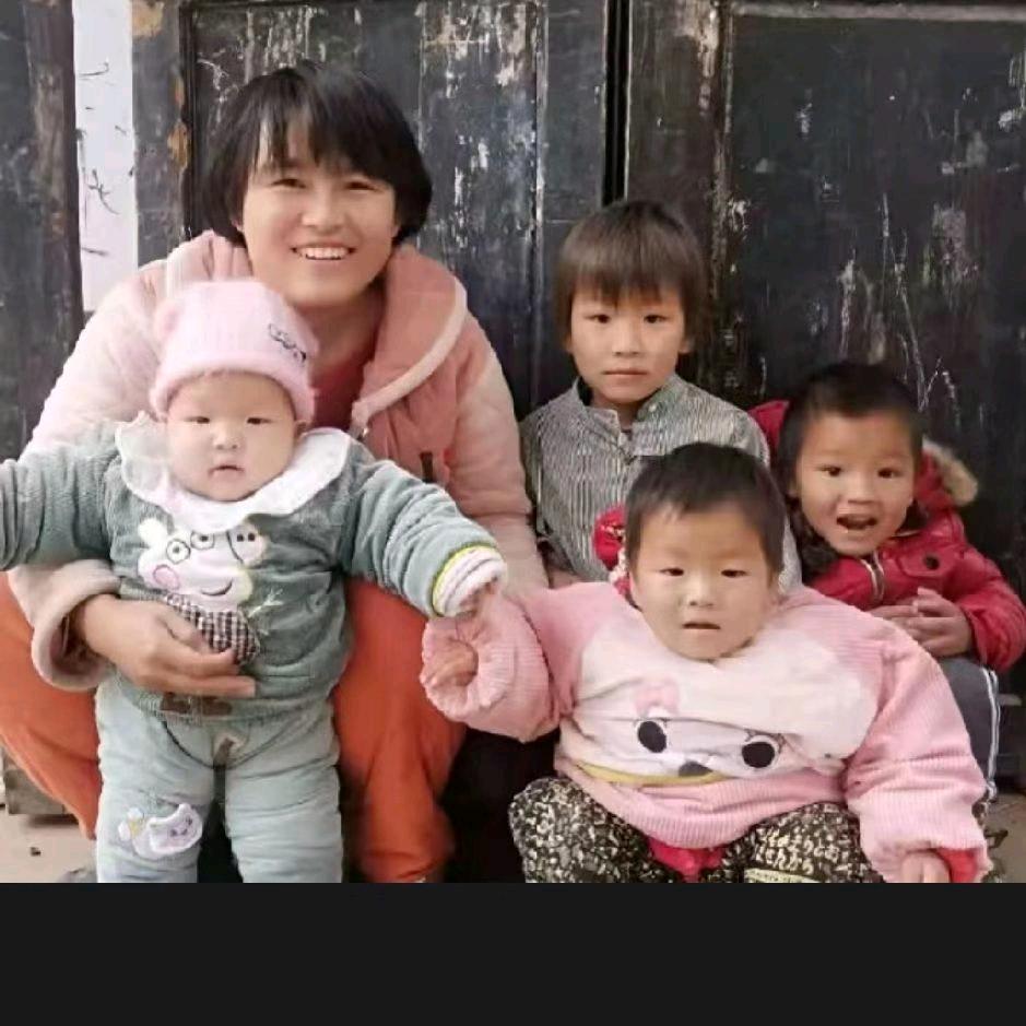 蚊子手工团扇花伞