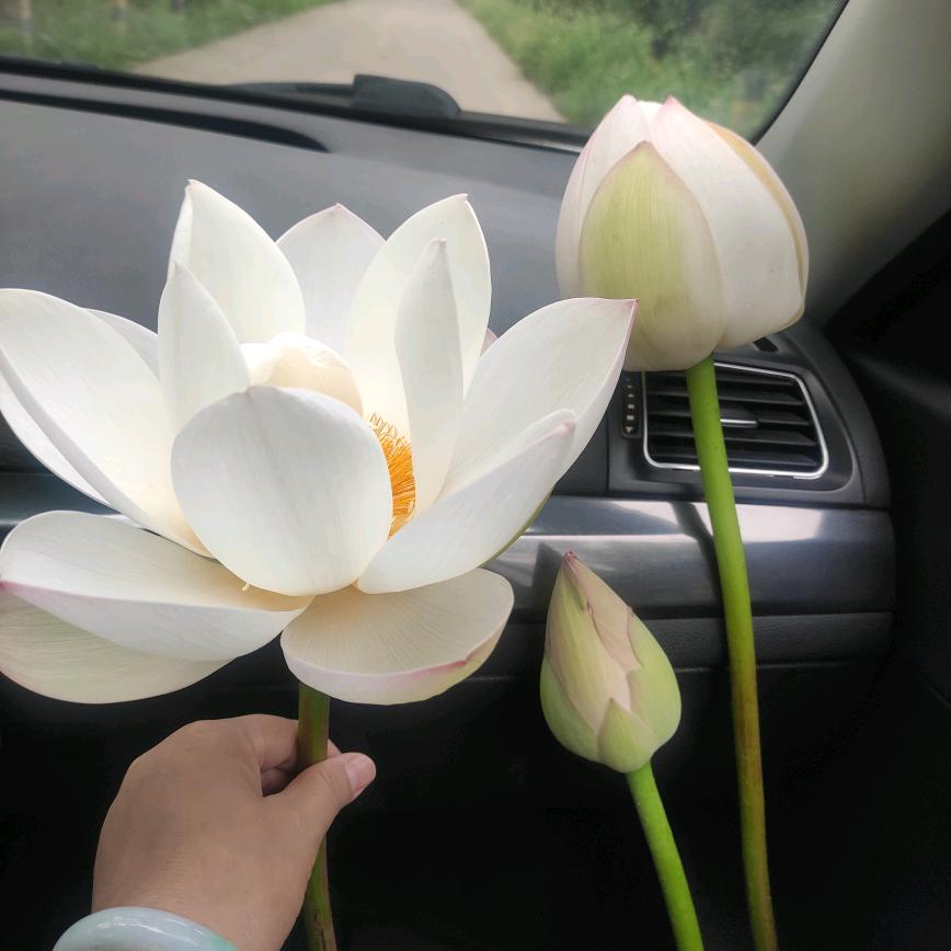 简单快乐